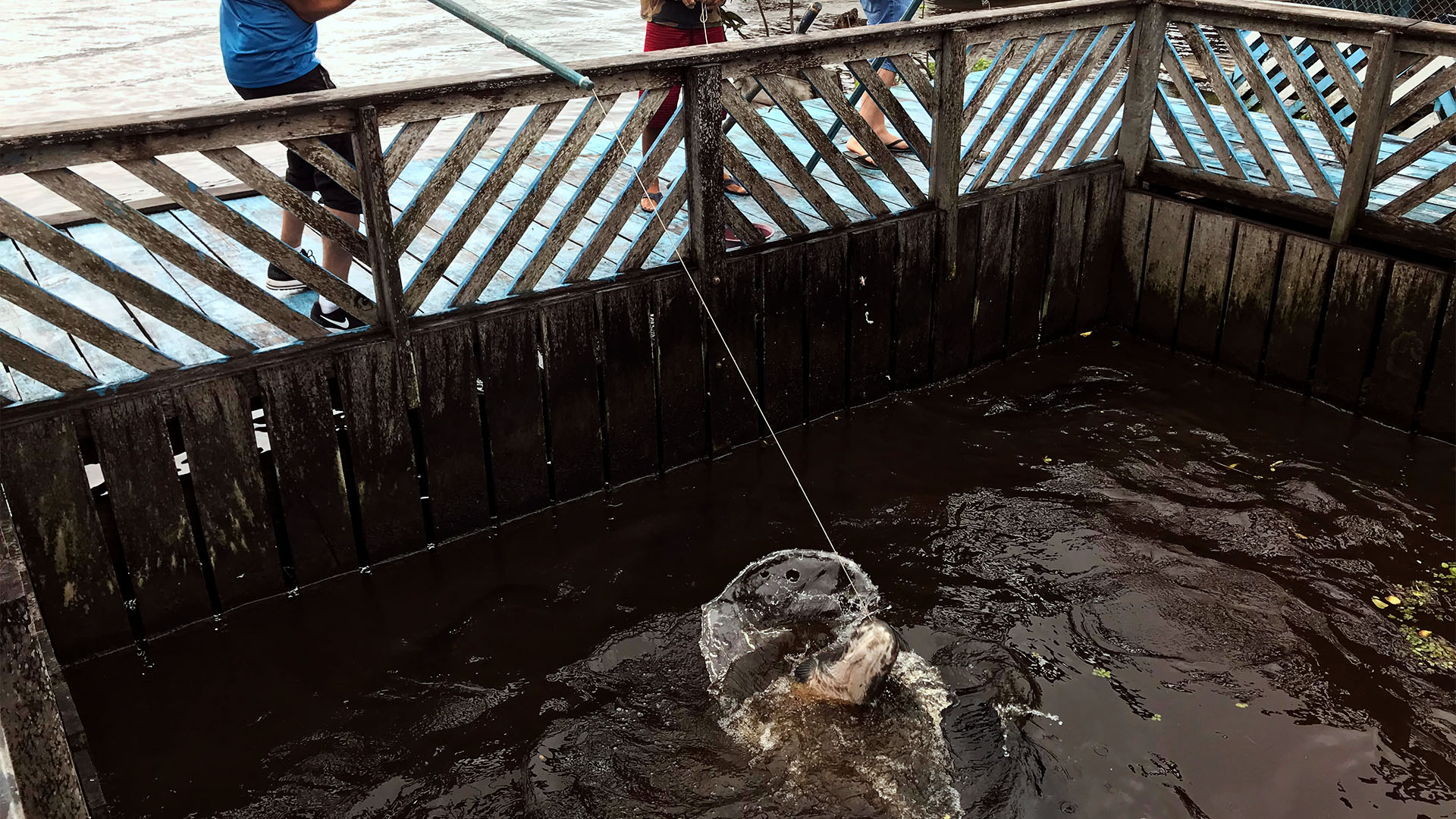 Prancheta 10 copiar 5